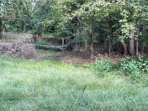 0 River Road, Piedmont, MO, 63957 | Card Image