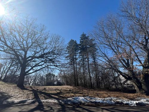 TBD Oakridge Street, Saint Paul, MN, 55119 | Card Image