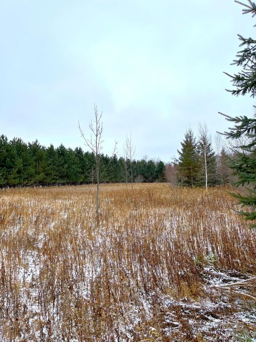 Lot 2 - TBD 330th Street, Warroad, MN, 56763 | Card Image