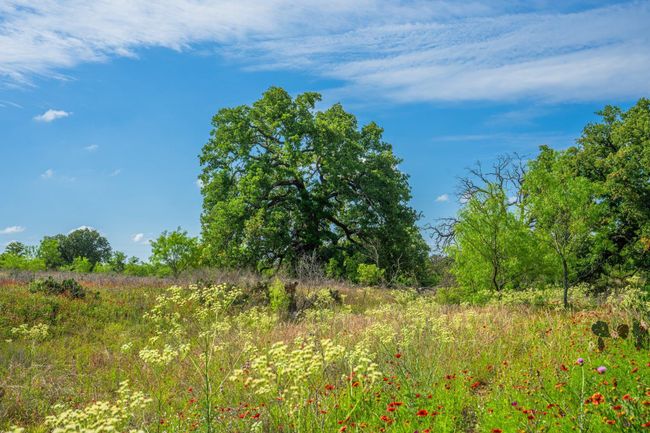 13315 N State Highway 16, Home with 3 bedrooms, 3 bathrooms and null parking in Llano TX | Image 26