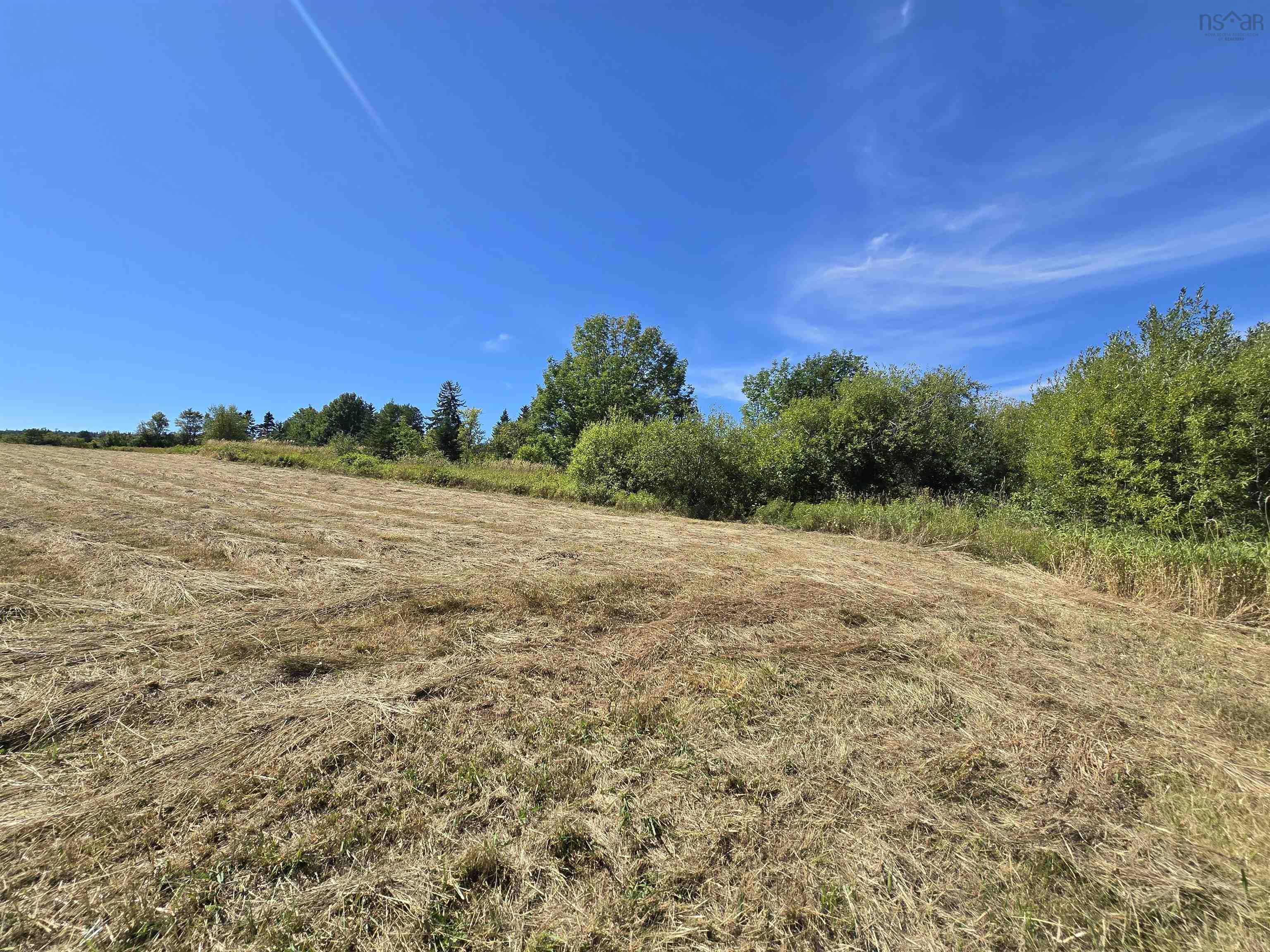 Land in Sylvester 5