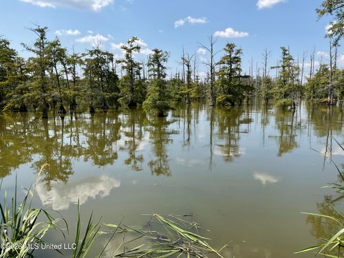 314 Lake Washington Rd E, Glen Allan, MS, 38744-9677 | Card Image
