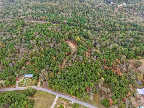 0-1215 Buddy Vines Camp Rd, BESSEMER, AL, 35023-7212 | Card Image