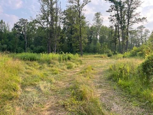 3797 Highway 65, Isle, MN, 56342-3705 | Card Image