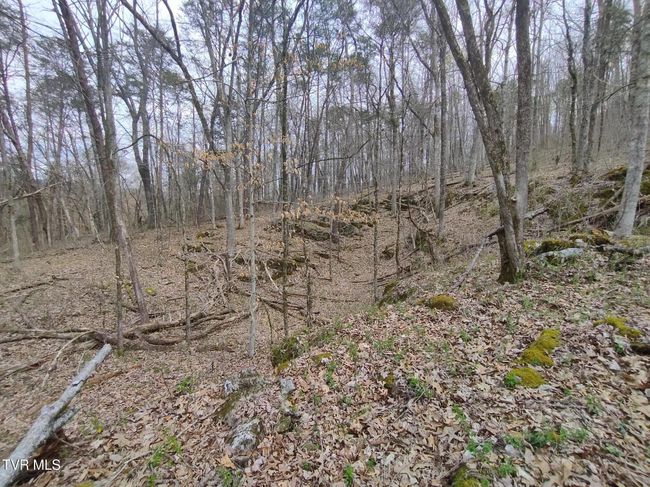 Clearing with slight incline with boulder rocks | Image 16