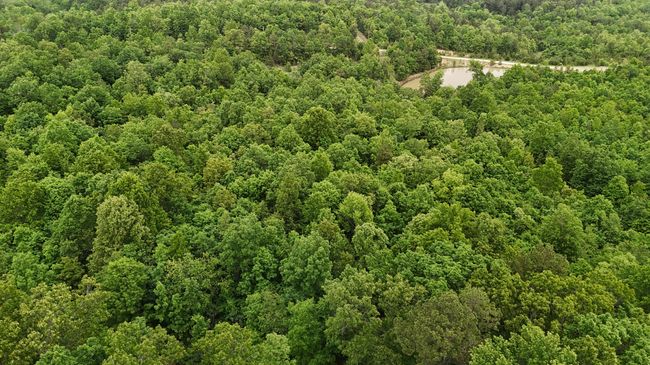 DJI_20250515142445_0134_D | Image 6