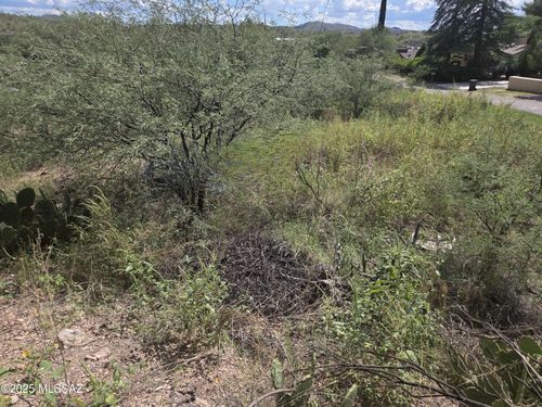 17-TBD N Camino Rebecca, Nogales, AZ, 85621 | Card Image
