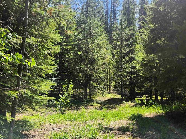 7450 Ruby Creek Rd, Home with 0 bedrooms, 0 bathrooms and null parking in Cusick WA | Image 5