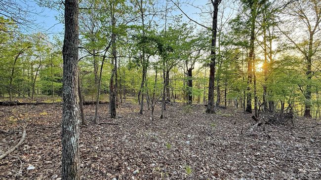 2345 Overlook Dr, Home with 0 bedrooms, 0 bathrooms and null parking in Kansas OK | Image 8