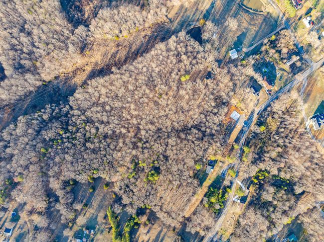 15 Highway 120, Home with 0 bedrooms, 0 bathrooms and null parking in Big Rock TN | Image 17