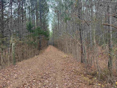 00 Tramham Rd, Ramer, TN, 38367 | Card Image