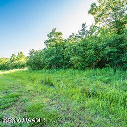 Land in St. Martinville 4