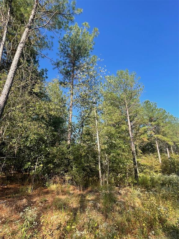 Land in Broken Bow 2