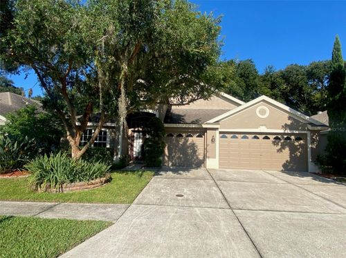10542 San Travaso Dr, TAMPA, FL, 33647-2920 | Card Image