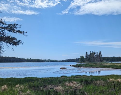 map6 lot37 Back Woods Rd, Vinalhaven, ME, 04863 | Card Image