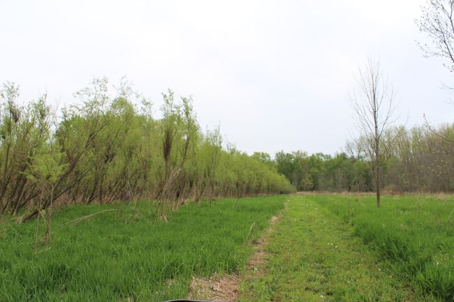 marsh land trail 2 | Image 22