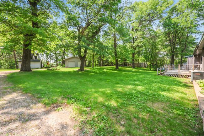 back yard with mature trees | Image 6
