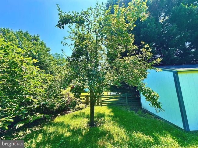 11857 Catoctin Dr, House other with 4 bedrooms, 3 bathrooms and null parking in WOODBRIDGE VA | Image 41