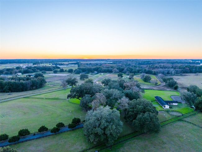 The pastures, shaded by an abundance of mature oaks, provide natural shelter and comfort for your equine companions. | Image 9
