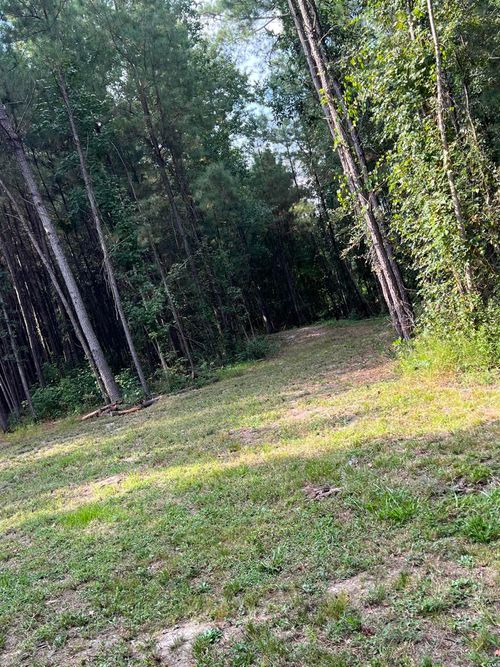 TBD Oglethorpe Dr, Andrews, SC, 29510 | Card Image