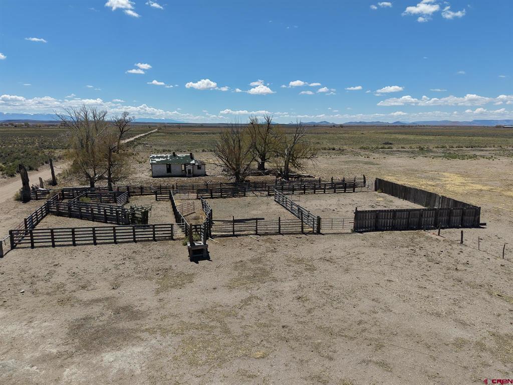 Farm in Blanca 3
