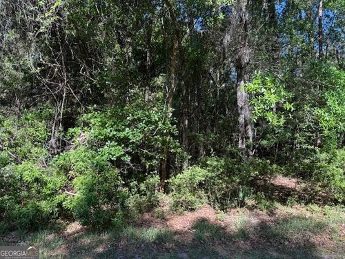 113 Butler Lake Drive, Saint Simons Island, GA, 31522 | Card Image