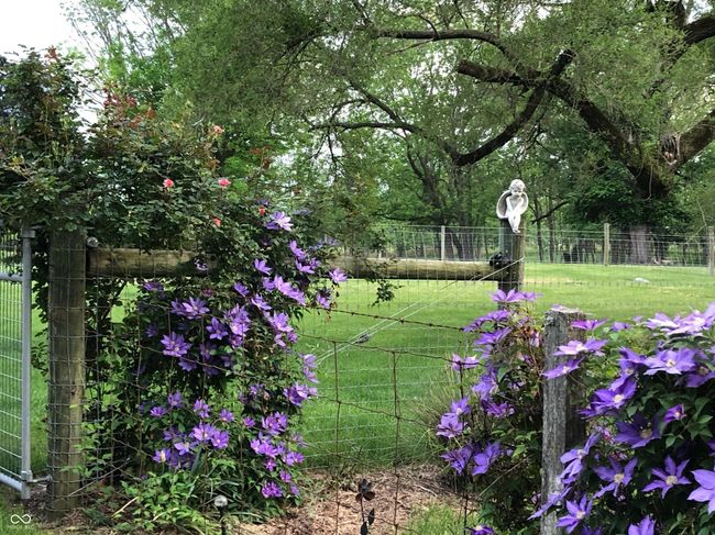 view of yard with fence | Image 29
