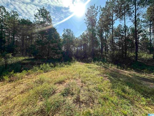 na-0 County Road 336, Maplesville, AL, 36750 | Card Image