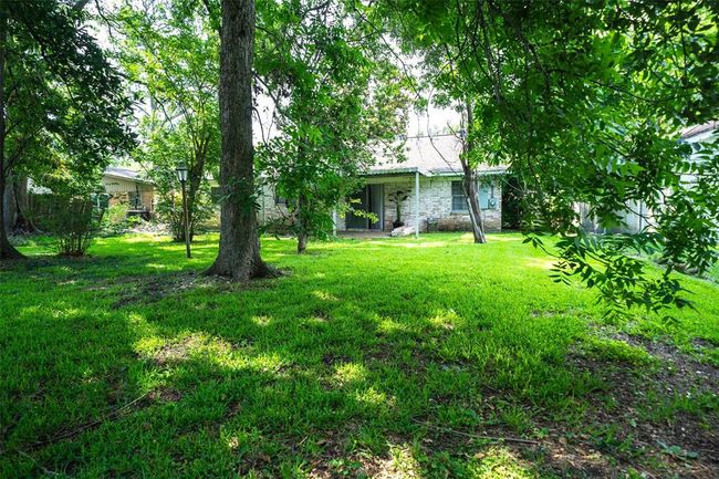 Backyard | Image 19
