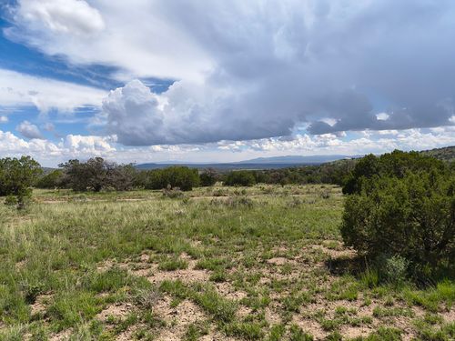 77 Wildwood Lot 77, Datil, NM, 87821 | Card Image