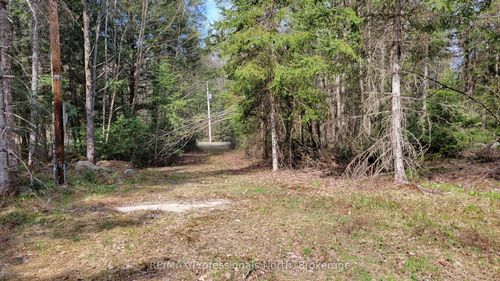 1469 Yearley Rd, Sprucedale, ON, P0A1Y0 | Card Image