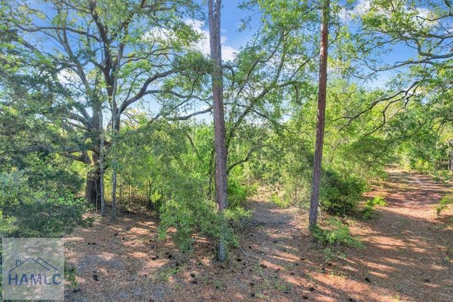 0 Mildred Bush Road, Home with 0 bedrooms, 0 bathrooms and null parking in Surrency GA | Image 7