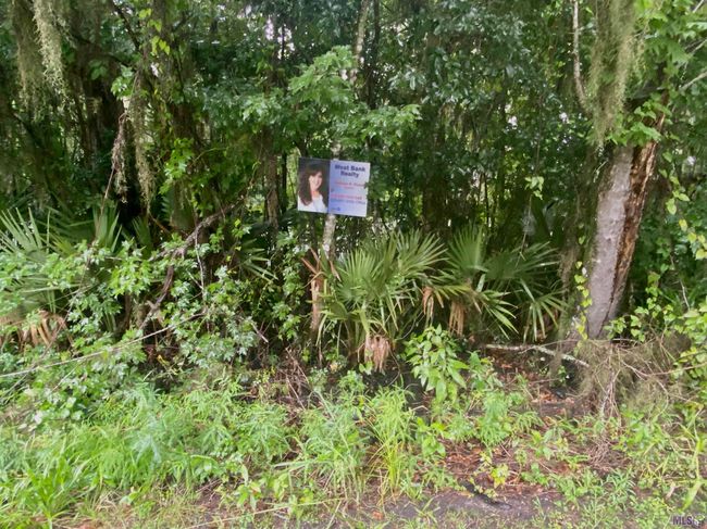 0 Shell Beach Rd, Home with 0 bedrooms, 0 bathrooms and null parking in Pierre Part LA | Image 5