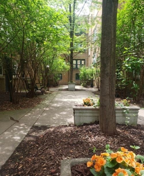 ste-1s-685 W Wrightwood Ave, Chicago, IL, 60614-7969 | Card Image