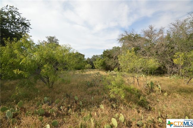 17426 N Highway 183, Home with 0 bedrooms, 0 bathrooms and null parking in Lometa TX | Image 5