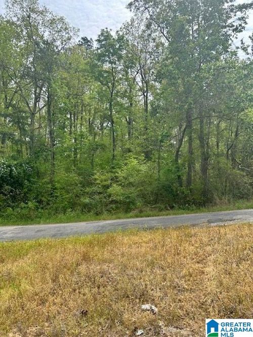 11-Lot 11 County Road 3902, Arley, AL, 35541 | Card Image