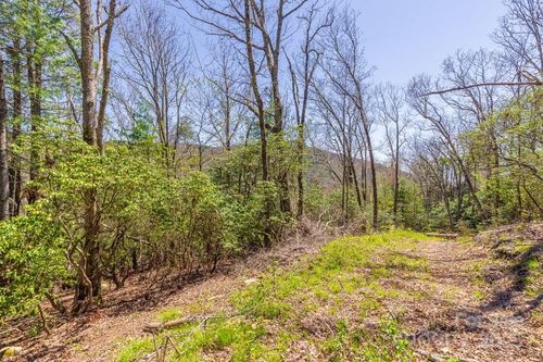 99999 Fairview Forest Dr, Fairview, NC, 28730 | Card Image