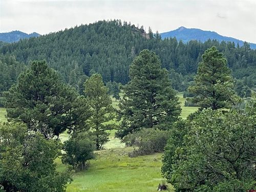 1240 Crowley Dr, Chromo, CO, 81128 | Card Image