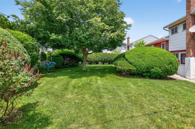 View of grassy yard | Image 14