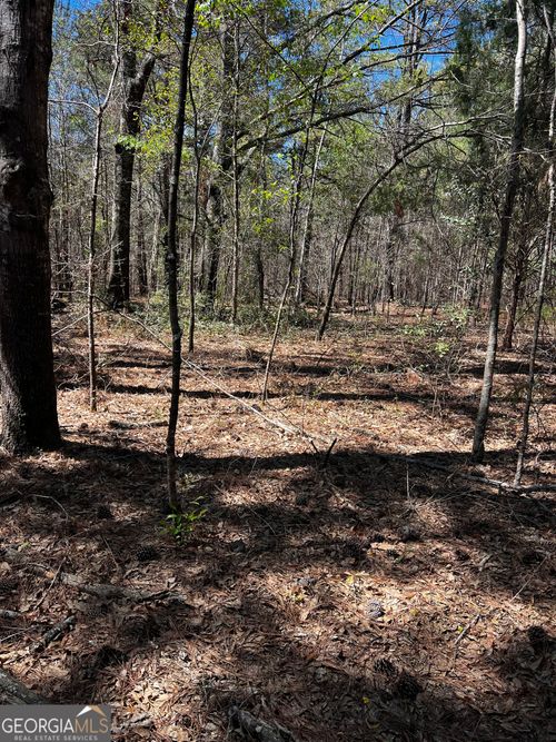 2000 Buckeye Rd, Tennille, GA, 31089 | Card Image