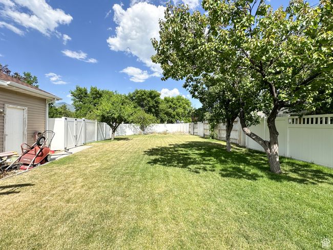 View of yard | Image 21