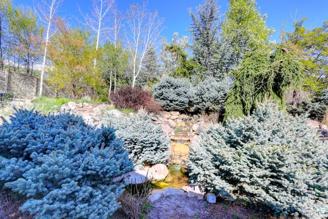 View of landscape | Image 53