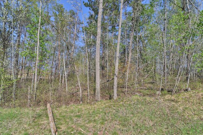 5 Terminal Road, Home with 0 bedrooms, 0 bathrooms and null parking in Breezy Point MN | Image 6
