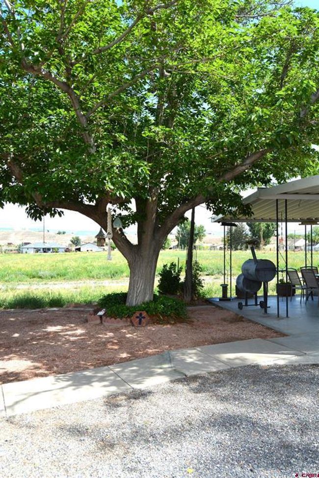 8801 2100 Rd, House other with 3 bedrooms, 1 bathrooms and null parking in Austin CO | Image 4