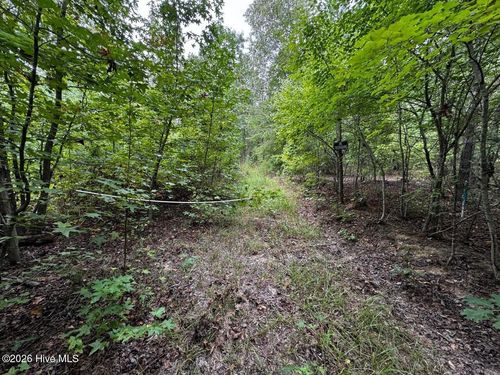 00 Gabe Rd, Saluda, SC, 29138 | Card Image