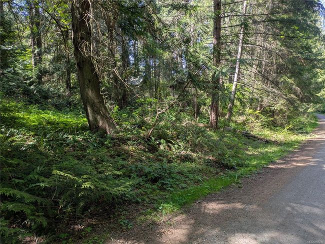 Capt Morgans Blvd, one of the quietest areas | Image 10