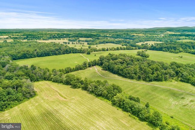 8160 Frogtown Rd, Home with 0 bedrooms, 0 bathrooms and null parking in MARSHALL VA | Image 32