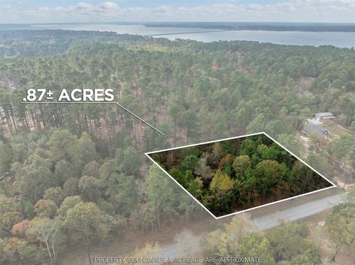 11 Pintail Dr, Flint, TX, 75762 | Card Image