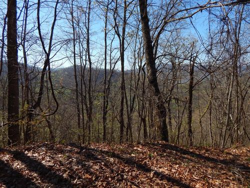 #13 & 14 Burnt Leaf Ln, Hayesville, NC, 28904-9003 | Card Image