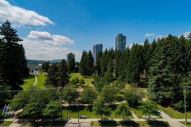 View of community | Image 28